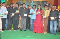 Bruce Lee Movie Audio Release Photos